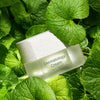 ICD Dermatology Cream